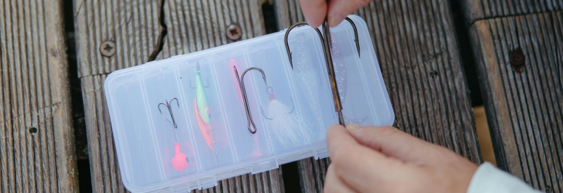 Korum -Korum pexels yaroslav shuraev 8917052